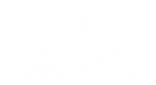 Nívio Moreira